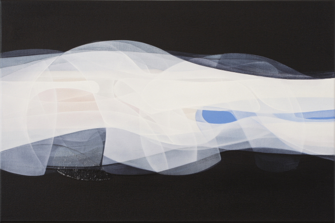 10 'Transient 1' 2009 40x60cm acrylic on canvas