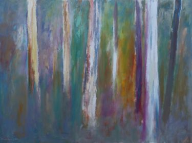 18. Eucalypt Forest, Cape Otway I - 91 x 122 cm