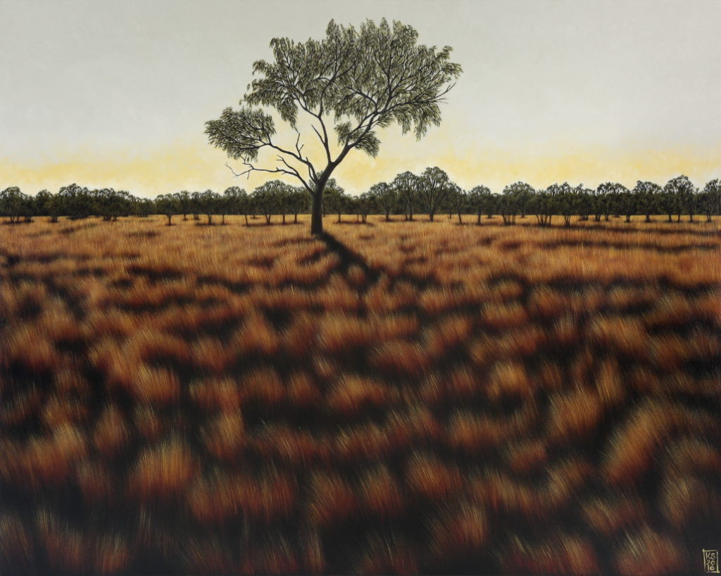 Amoonguna landscape IV (tree shadow)-web