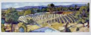 Maria_Zeiss_Cross_Cultures_Kangaroo_Ground_framed