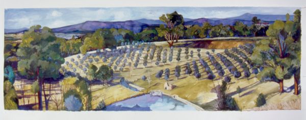 Maria_Zeiss_Cross_Cultures_Kangaroo_Ground_framed