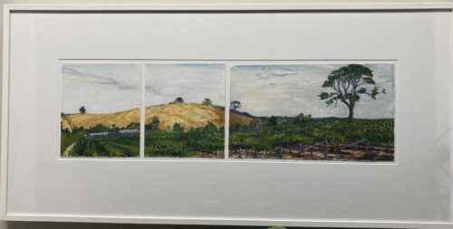 At Nepenthe, Adelaide Hills.