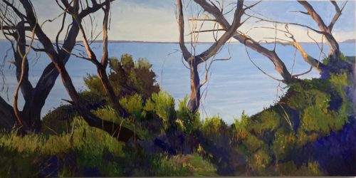 Looking through the gaps, Churchill Island