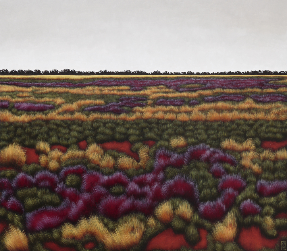 Tibooburra landscape VI-Patterson's curse-web