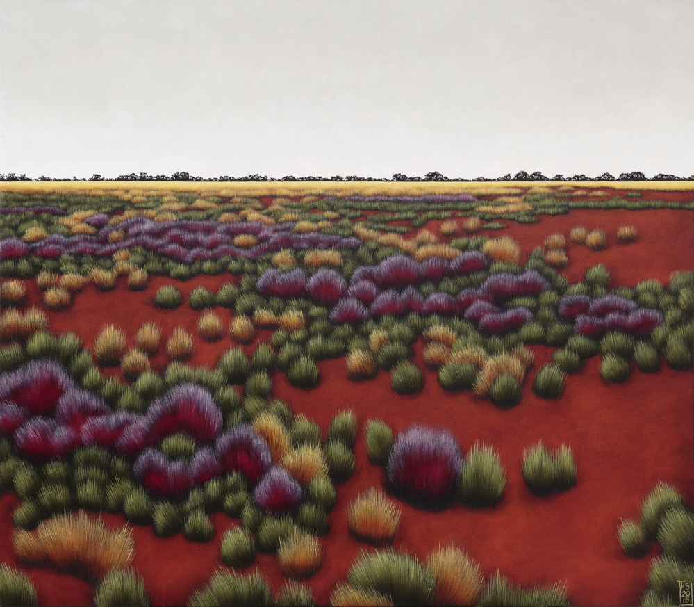 Tibooburra landscape VII-Salvation Jane-web